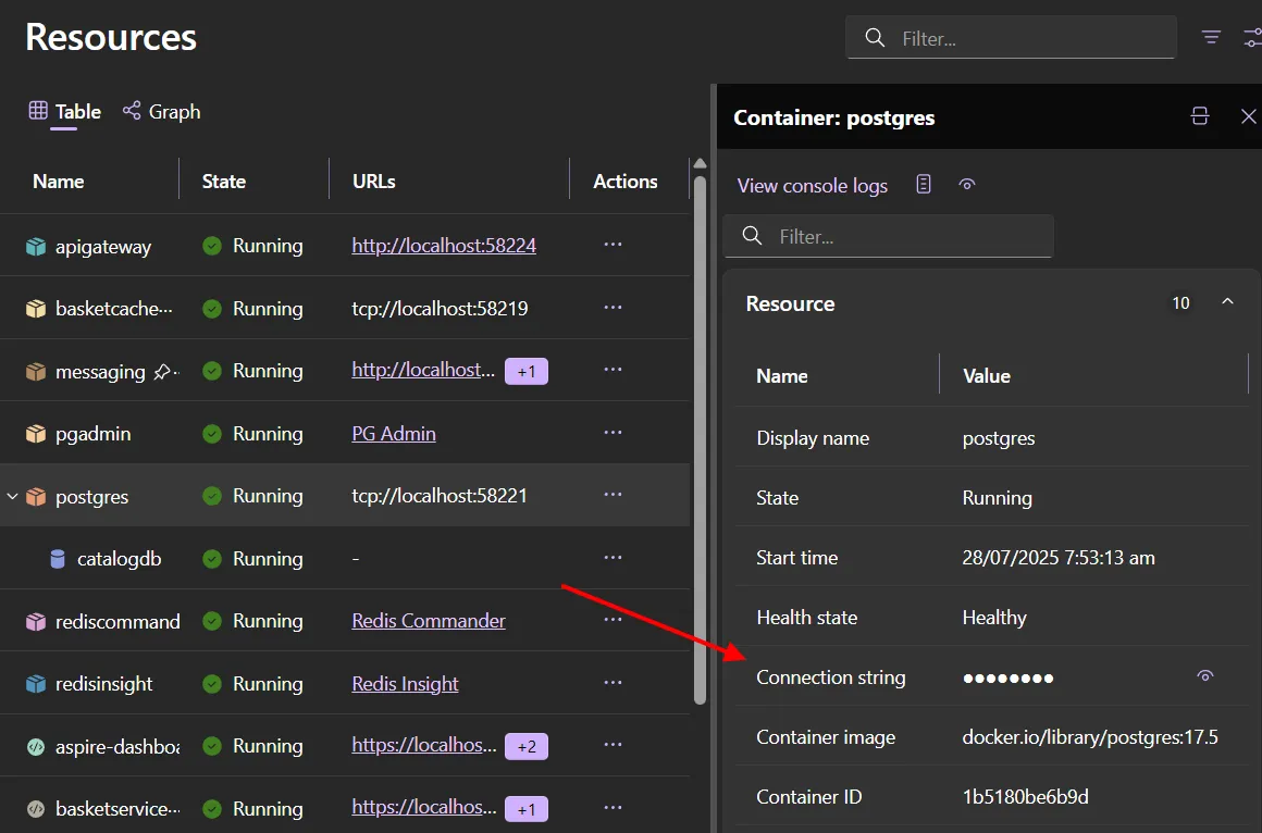 Screenshot of dashboard showing connection string.